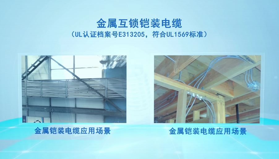 铜芯内连锁铠装MC电缆5.jpg 铜芯内连锁铠装MC电缆(图5)